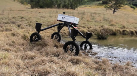 Autonomous farming robots weed and replace shepherds - Agronews, news, Technologies, Robot, Australia, Startup, Farmer, Shepherd, Video, Longpost