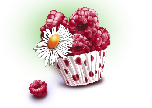 My first independent drawing in vector) - My, Vector, Vector graphics, Фрукты, Raspberries, Inkscape