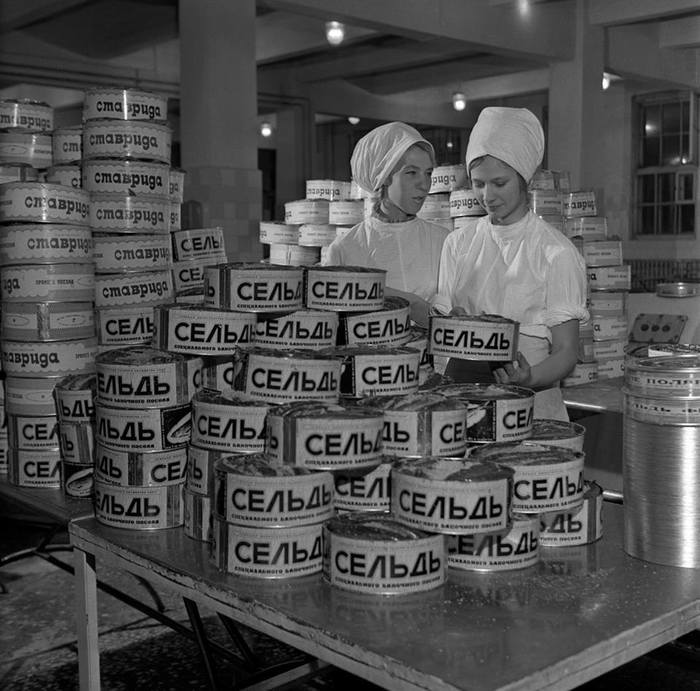 At a seafood factory in Murmansk, USSR, 1971. - A fish, the USSR, Made in USSR, Back to USSR, Murmansk