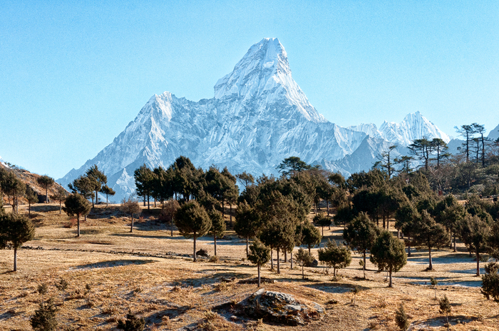 A Lifetime of Adventure