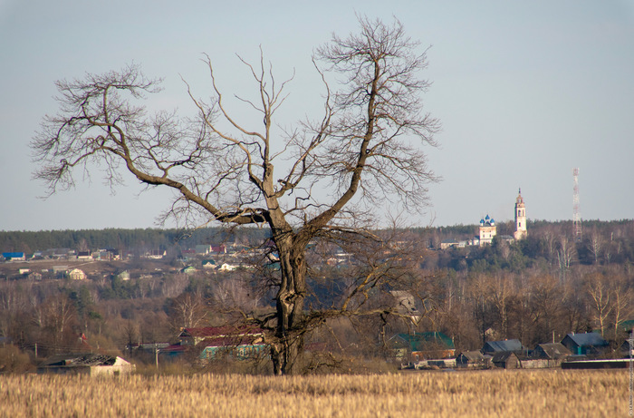 Cycling with a camera - My, I want criticism, Landscape, Church, Tree, 