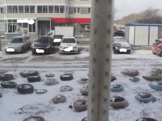 Весна в разгаре (