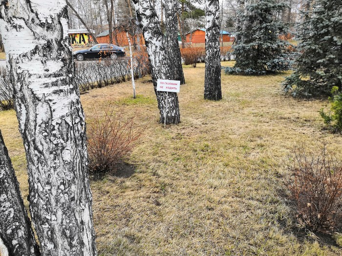 По газонам не ходить