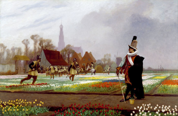 The medieval financial pyramid that brought down the economy of the Netherlands: Tulip Mania - Tulips, Holland, Netherlands, Cryptocurrency, , Economic crisis, Longpost, Netherlands (Holland)