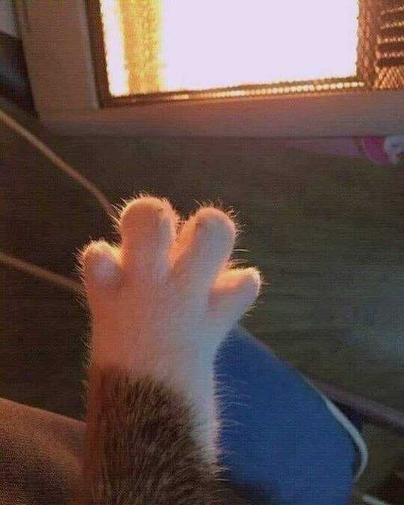 Холодная весна