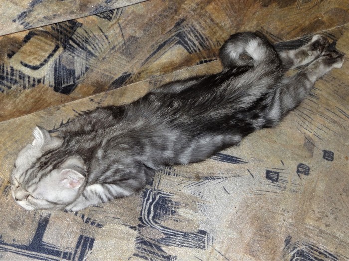 "����� ������ ������ ����� ��������, ����� �� ����� ������ ����� ...!