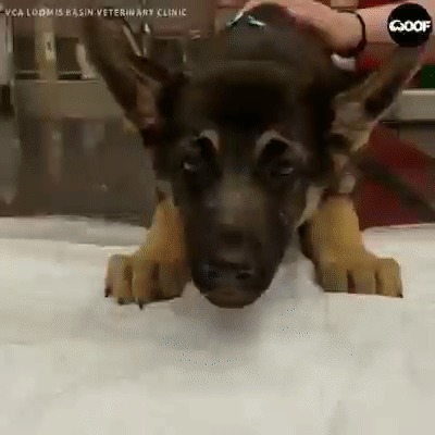 Почти радуга