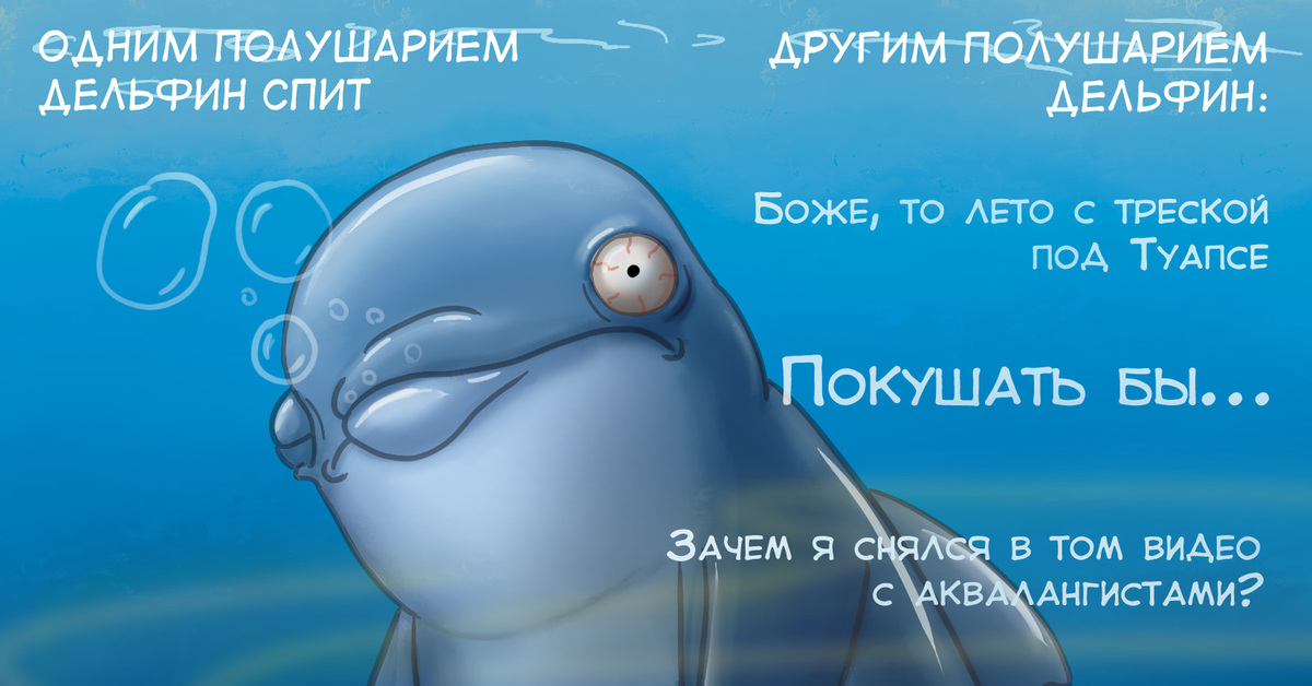 Дельфин ч буду жить. Смешные анекдоты про дельфинов. Смешной Дельфин. Дельфин прикол. Дельфины приколы.