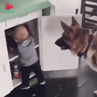 — Ну если ты настаиваешь, хозяин...