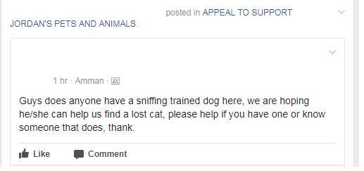 Собака-ищейка: истории из жизни, советы, новости, юмор и картинки ...