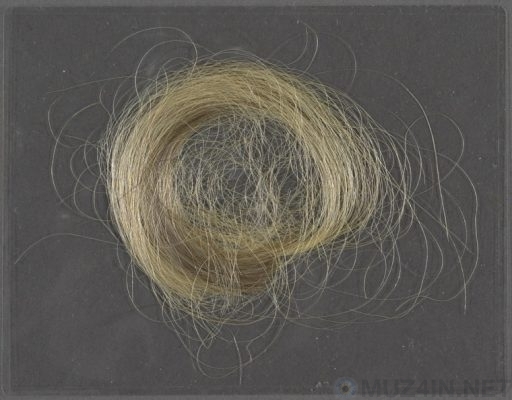 Why Victorians Loved Hair Heirlooms - My, Death, Victorian era, The culture, Hair, Facts, Relics, Story, Longpost