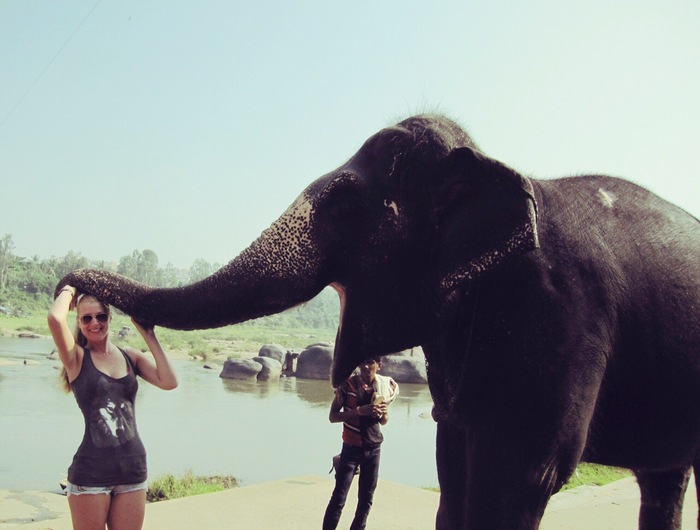 Elephants - My, Elephants, Memories, Childhood, India, Animals, Holidays, Travels, The photo, Longpost