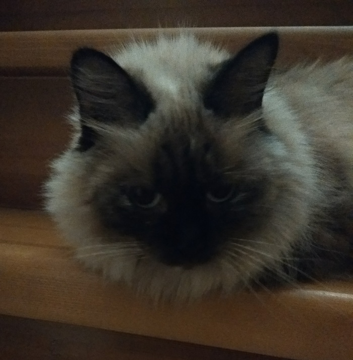 ������ �� ��� � ���,��� ����� �������...