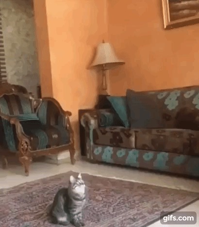 Котофеев