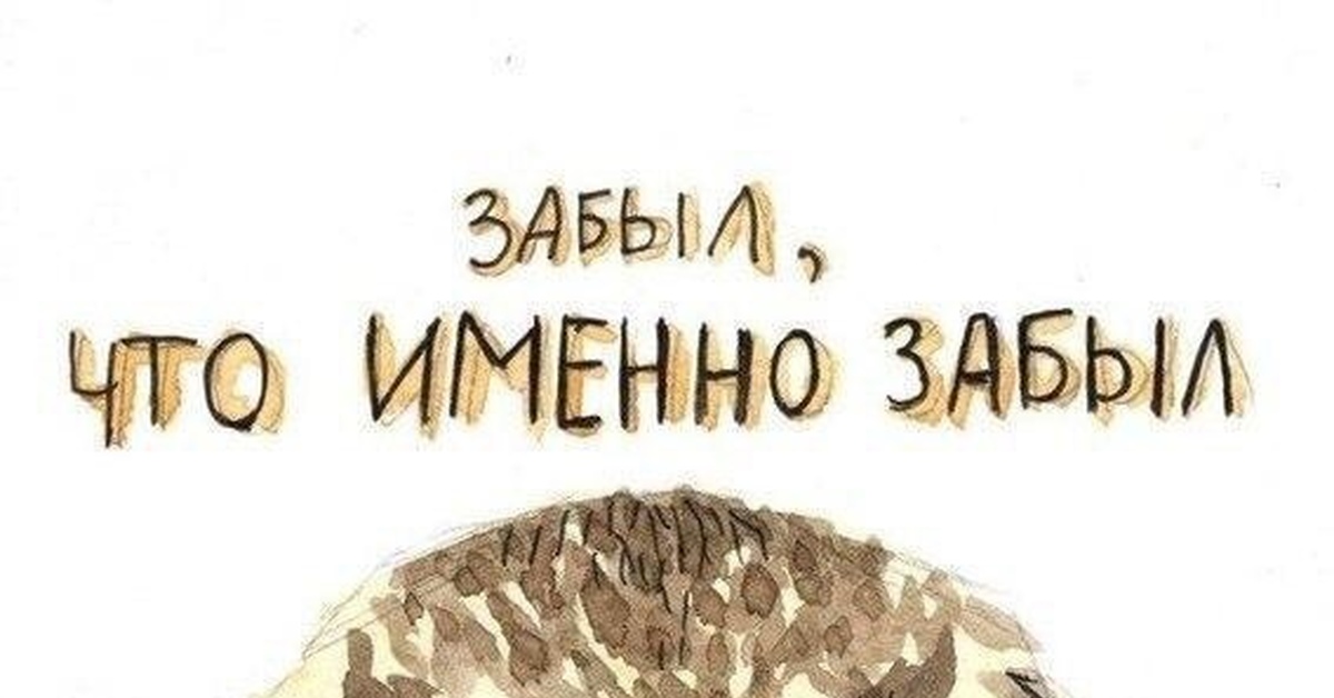 Что именно. Забыл что именно забыл. Забываха.