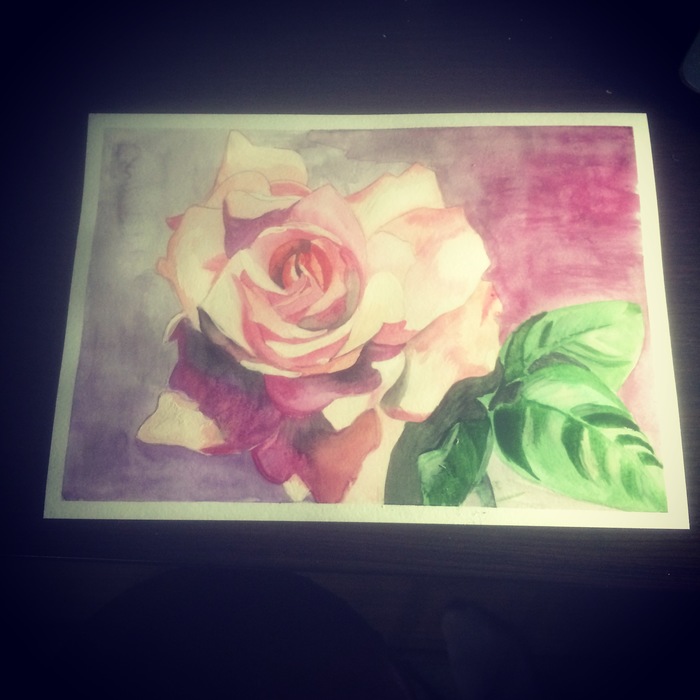 the Rose - My, the Rose, Flowers, Watercolor