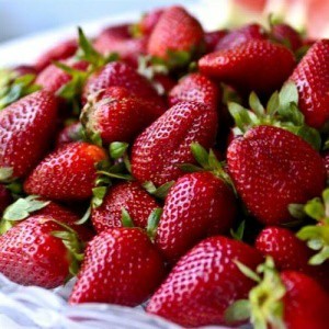 Strawberry extraordinary - Summer, Strawberry, Strawberry (plant)