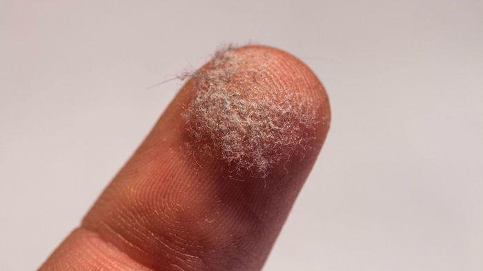 ���� �� ������!