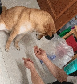 В какой руке?