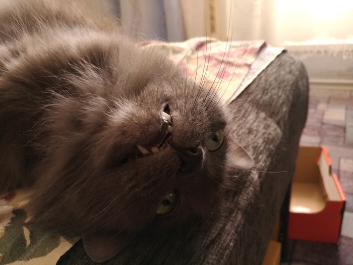 Когда просыпаешься утром и понимаешь, что ещё целый день работать