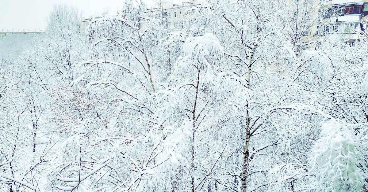 Замело замело все белым бело. А вокруг белым бело и снегу намело слушать.