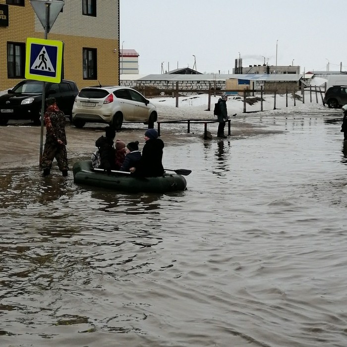 Весна пришла опять внезапно... | Пикабу