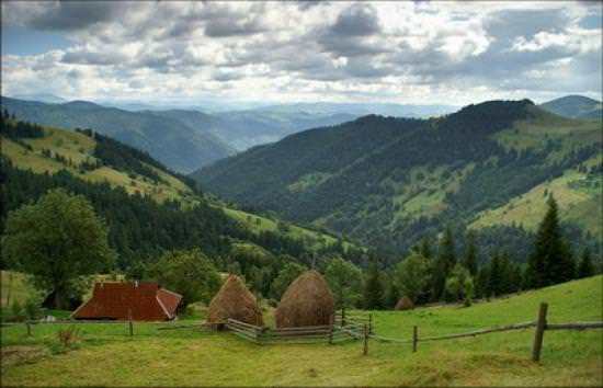 Carpathians in summer - The mountains, Carpathians, Summer, Nature, Camping, Longpost, The photo