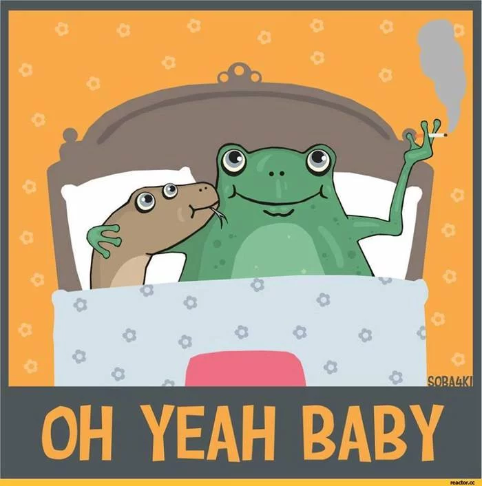 F**k toad viper - Toad, Vipers, Memes, Biology, Tediousness, Mat