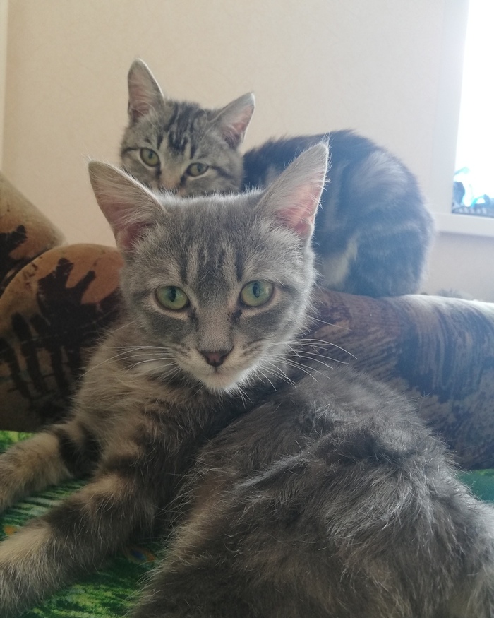 Вас заметили