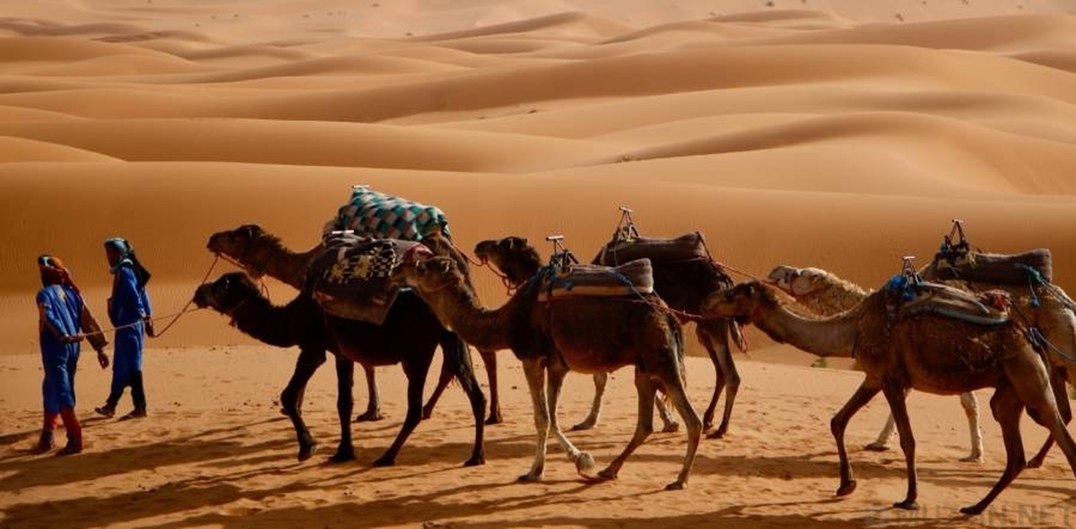 Люди каравана. Туареги Караван. Марокко туареги Караван. Жители пустыни сахара – берберы. Туарег Кочевник.