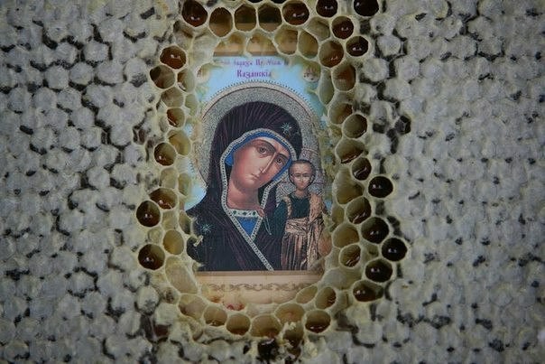 Experiment Required - Bees, Honey, God, Christianity, Atheism, Atheists, Experiment, Icon, Longpost