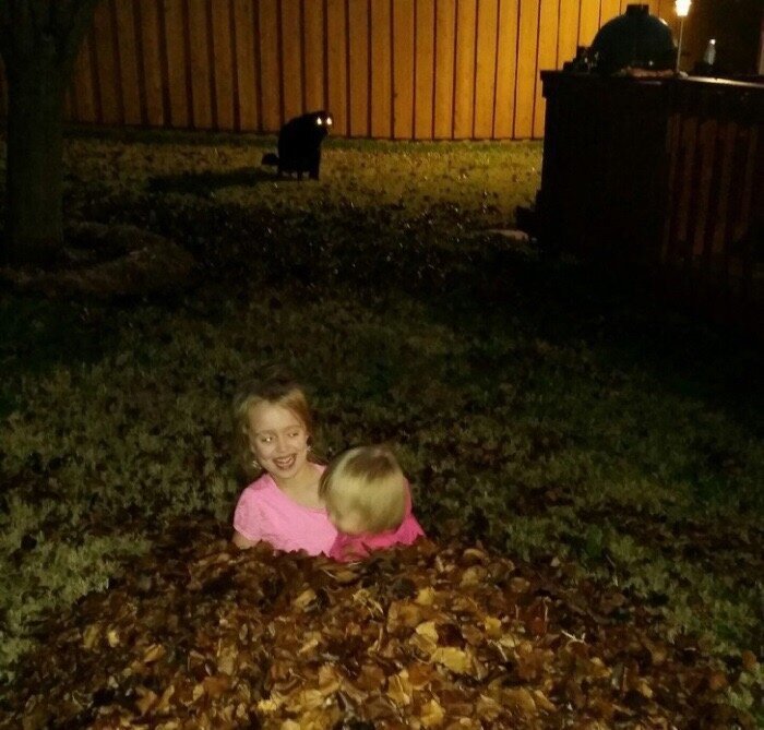 ������ ����