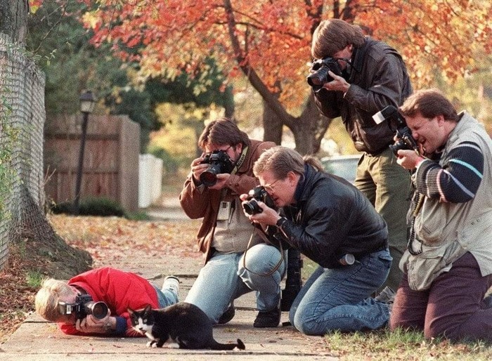 Paparazzi surrounding Bill Clinton's cat, 1992 - cat, Animals, The photo, Paparazzi, Bill clinton, USA, The president