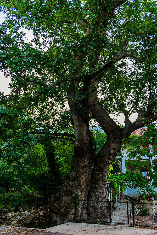 Elven path. - My, Travels, The photo, Tourism, Wild tourism, Hiking, The mountains, Longpost