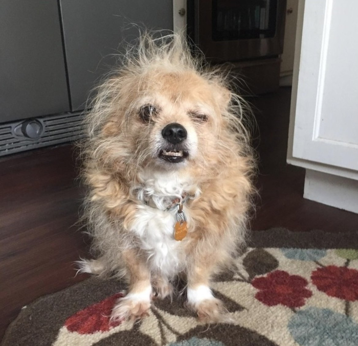 Что за лютый ад в горячем?