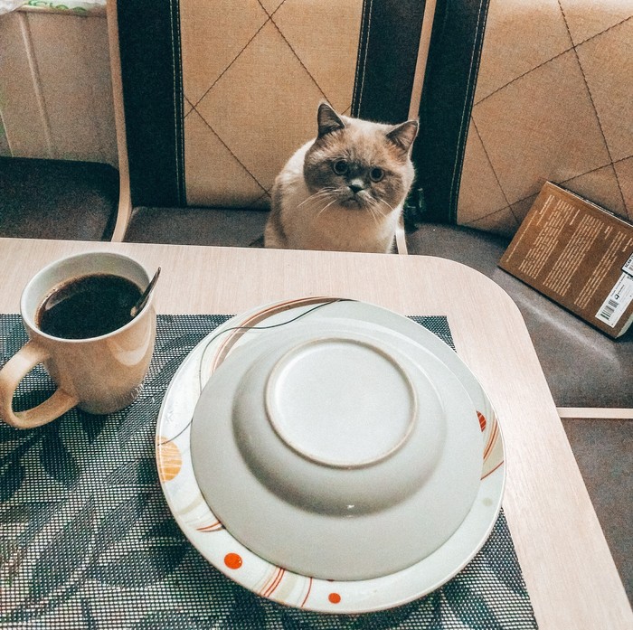 "Хозяйка, а тарелку я сам должен убирать?!"