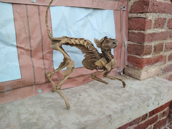 ���� � ������� ����