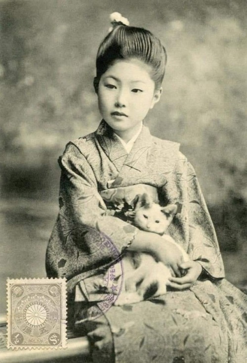 chan and neko - Japan, The photo, cat, Milota