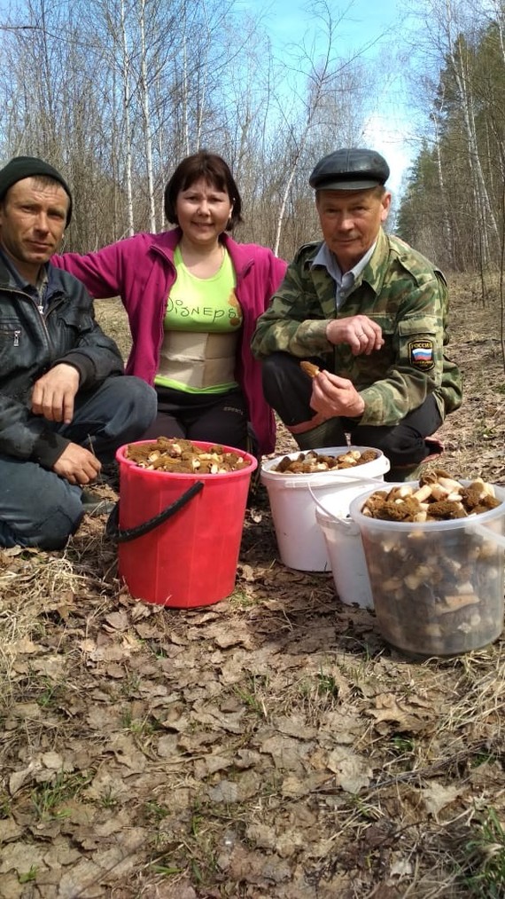 The hunting season is open! - My, Silent hunt, Mushroom pickers