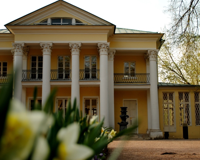 Summer house in Neskuchny garden - My, Summer house, Neskuchny Garden, Flowers, Moscow