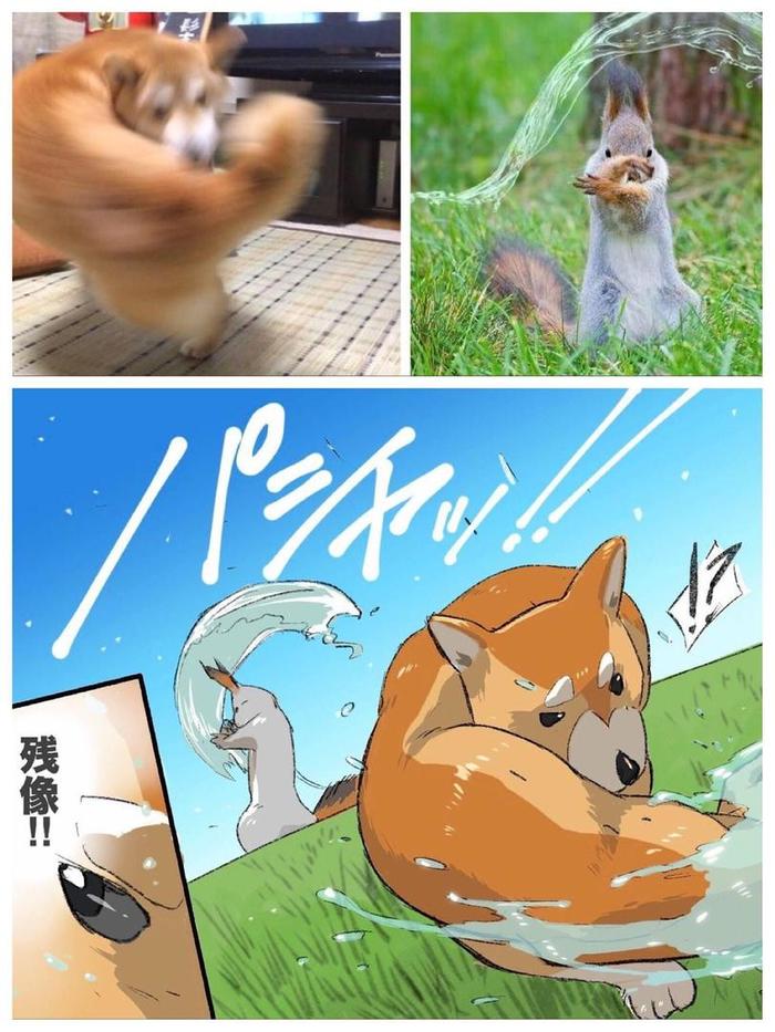 Пушистые бицухи