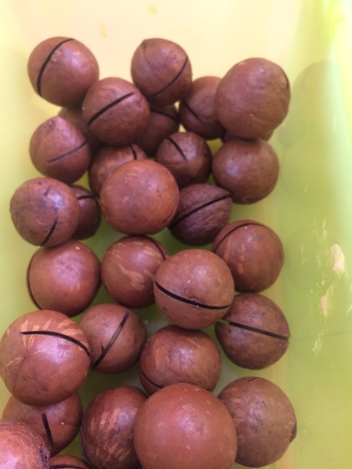 What kind of nuts? Treated by a friend, but no one knows the name. Very tasty - My, Nuts, What's this?, Longpost