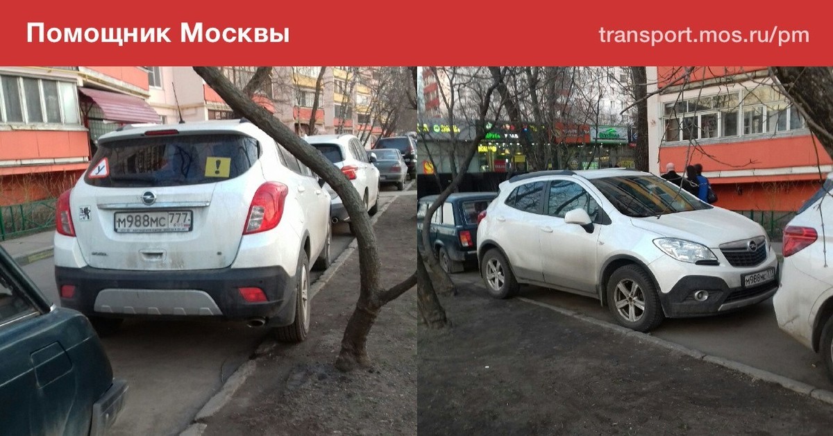 Помощник москвы. Помощник Москвы штрафы. Помощник Москвы Отклонено. Помощник Москвы фиксация на тротуаре. Штраф из помощник Москвы.