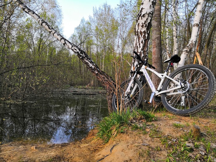 Велопрогулка - Велосипед, Длиннопост, Велопрогулка, Фото на тапок, Моё