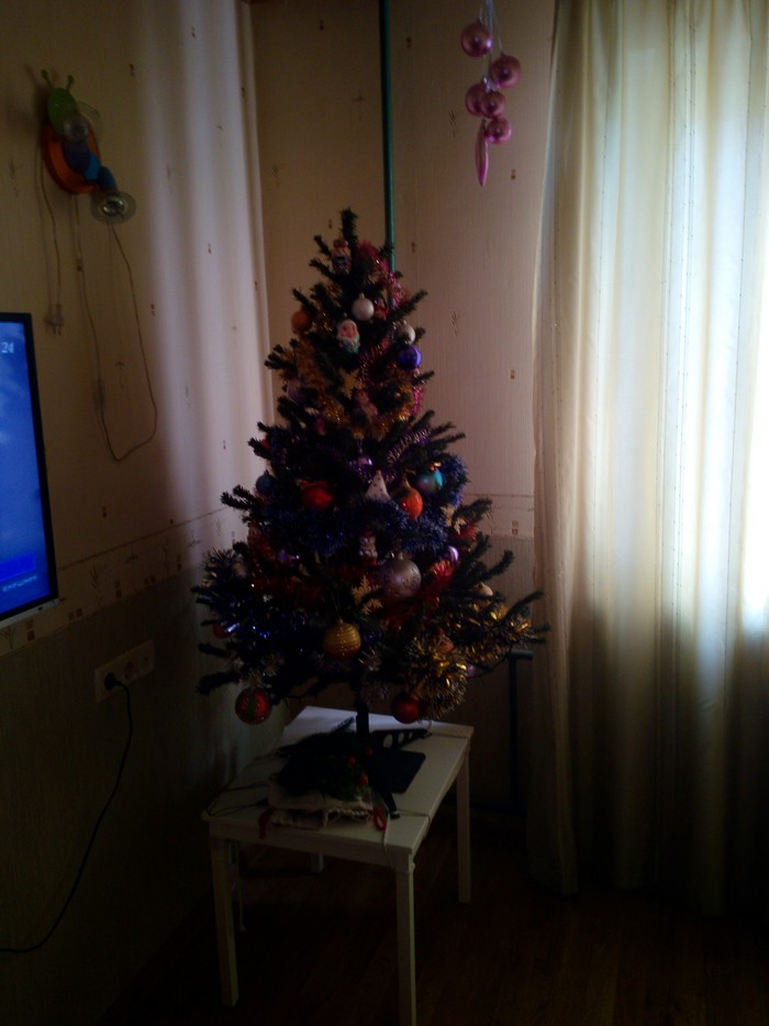 Let's meet May Day! - My, New Year, Christmas tree, A real man