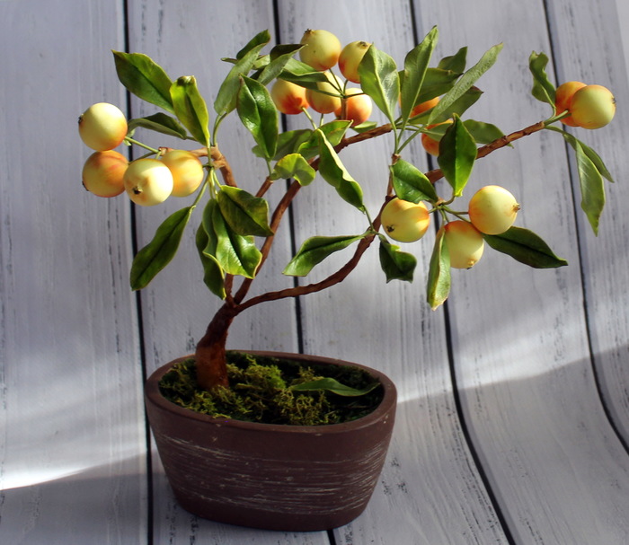 apple tree - My, Apple tree, Polymer clay, Handmade, Лепка, Bonsai, , Longpost
