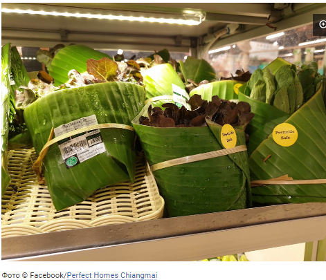 The first supermarkets abandoned plastic and switched to banana packaging - Package, , Ecology, Longpost