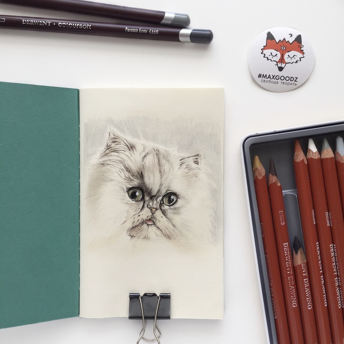 Cats with colored pencils. - My, cat, Catomafia, Maine Coon, Art, Colour pencils, Video, Longpost, Animalistics, Drawing, Animals