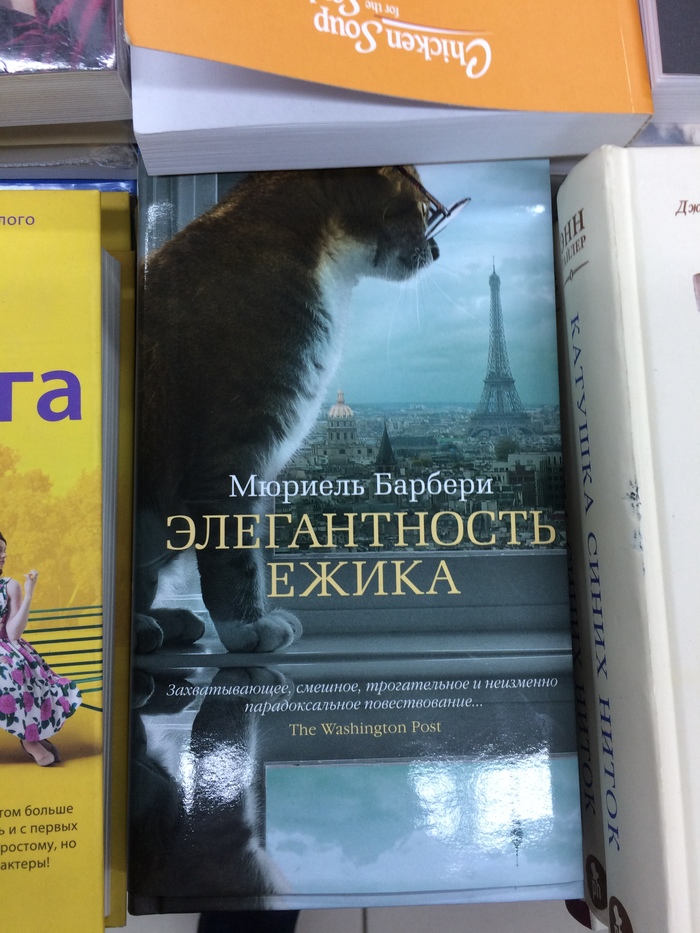 Когда вроде модный, но можешь споткнуться о воздух! - Вижу рифму, Кот, Книги