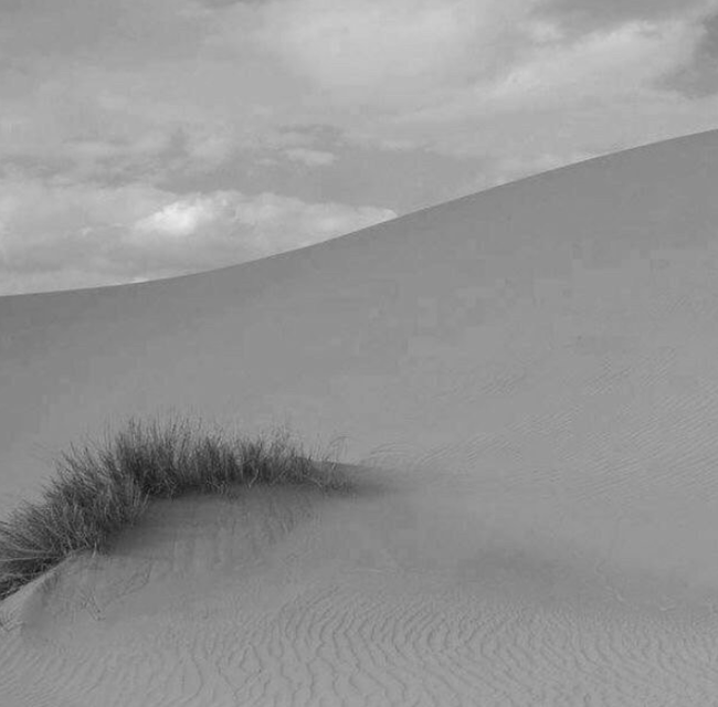 Nothing. Just sand and grass. And what did you think? - The photo, Dune, , All that